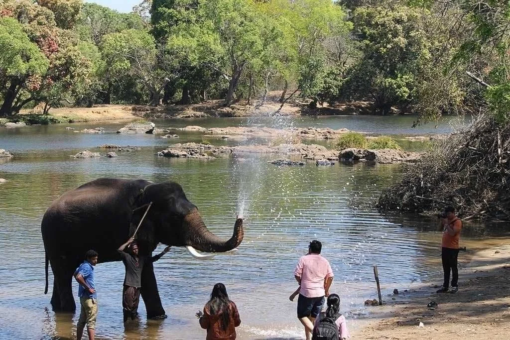 Day 2: Adventure, Wildlife & Heritage