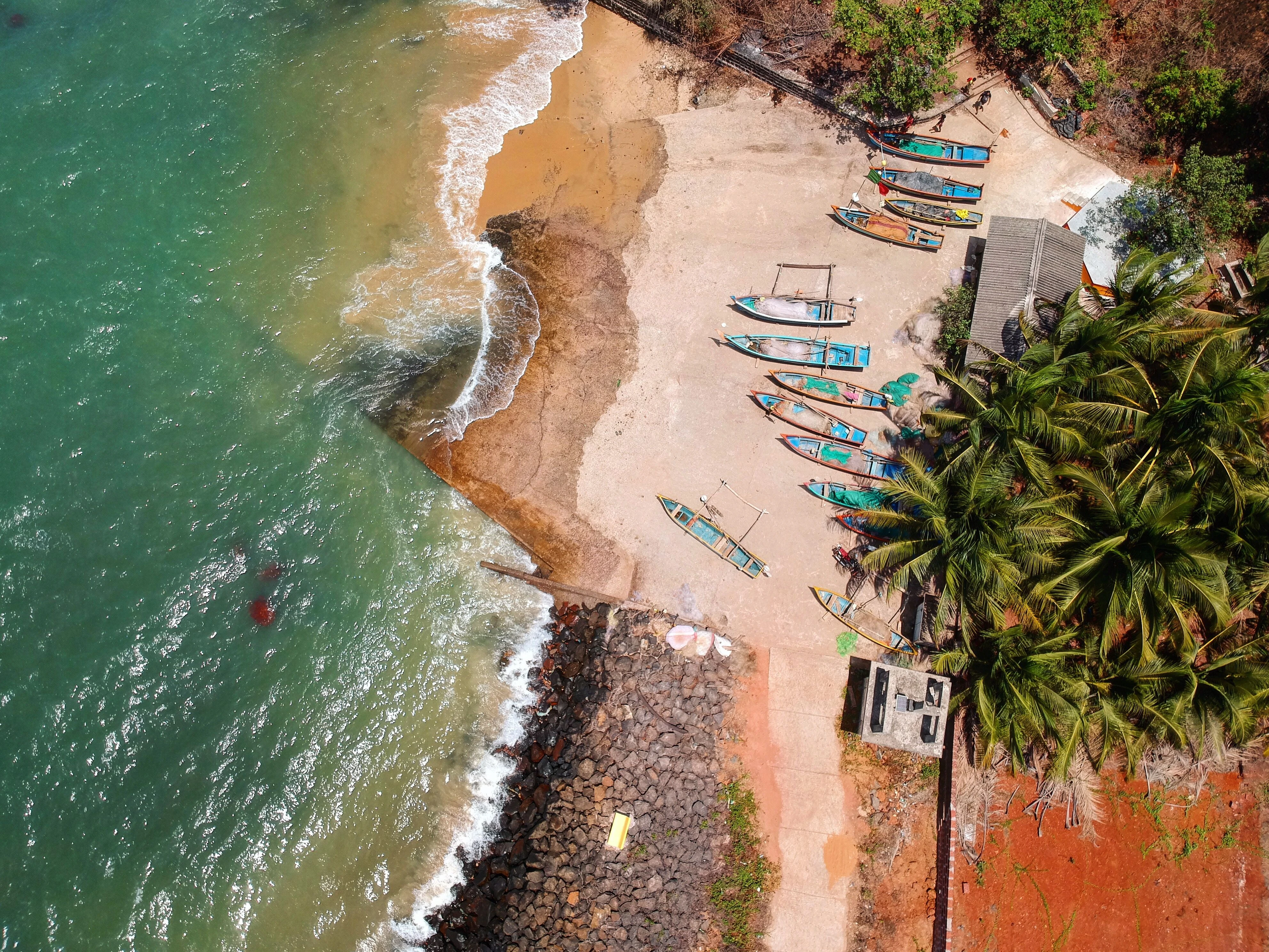 Day 1: Arrival in Goa | Adventure Party Boat | Artist Night