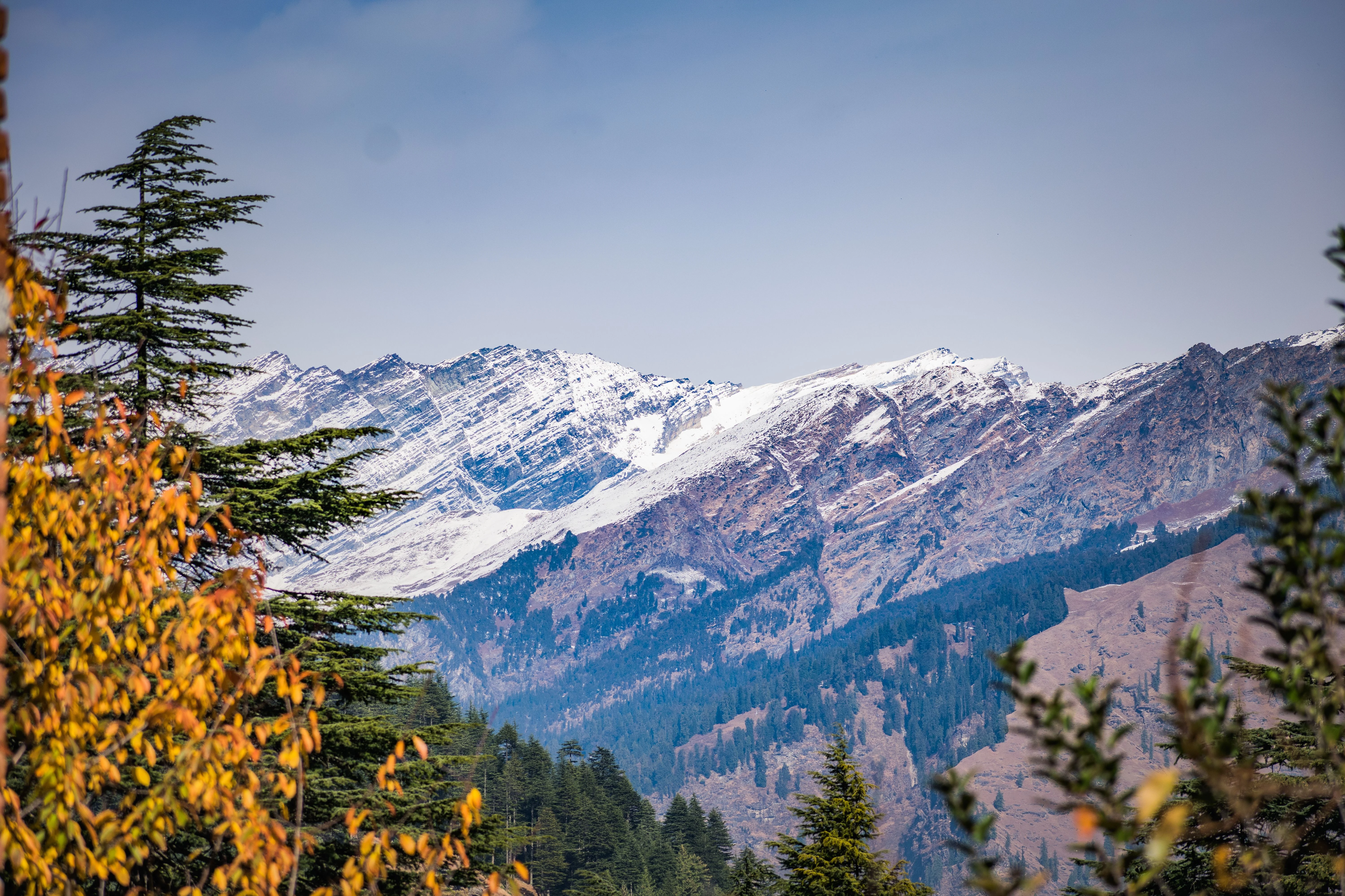 Day 3: Sunrise at Kheerganga | Trek Back | Leisure in Kasol | Return to Delhi