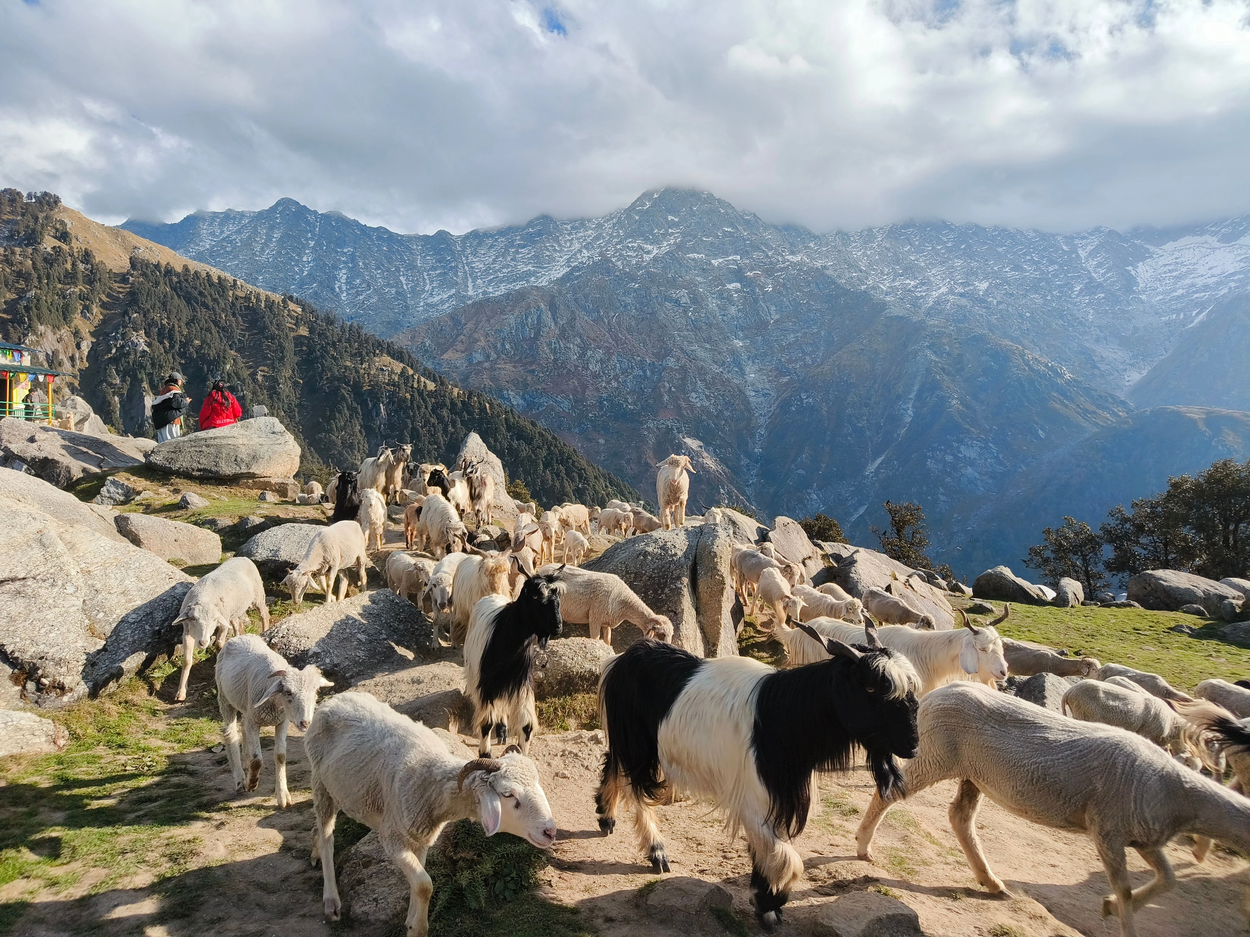 Day 3: Sunrise at Kheerganga | Trek Back | Leisure in Kasol | Return to Delhi