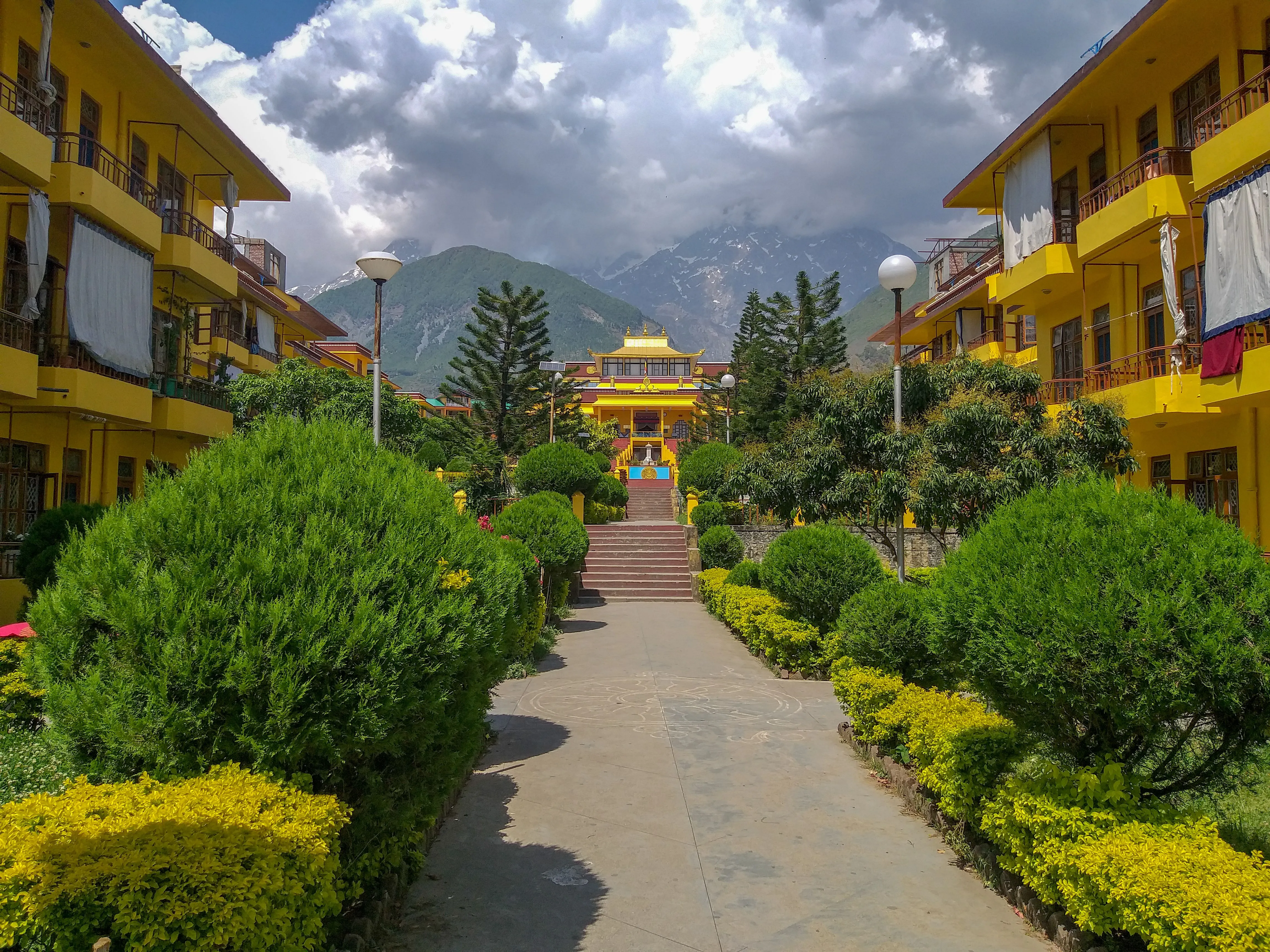 Day 1: Arrival in McLeodganj | Dharamshala Cricket Stadium | Bhagsunag Exploration | Artist Night & Bonfire