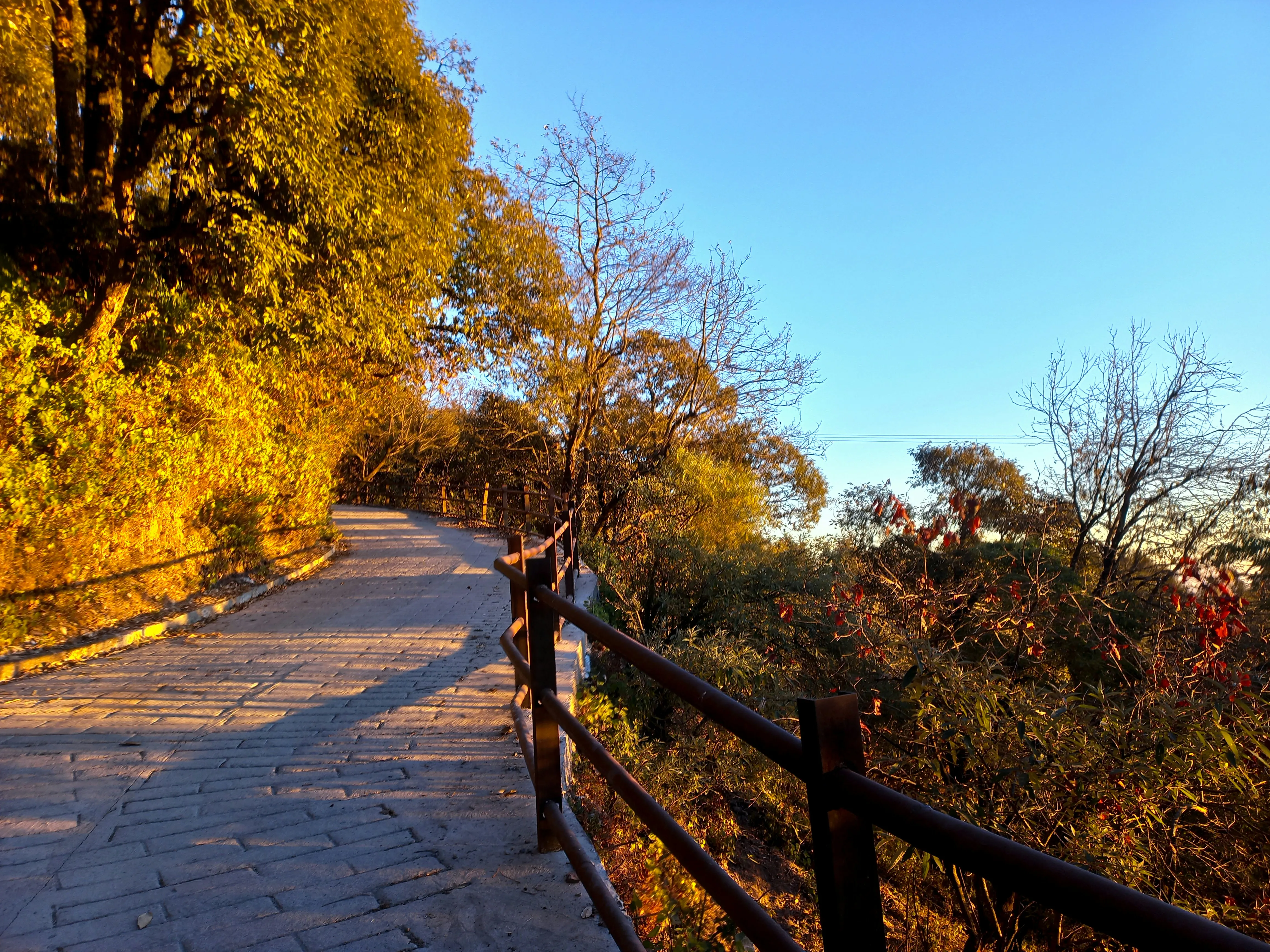 Day 1: Arrival in Mussoorie | George Everest | Dalai Hills | Landour Exploration | Lal Tibba Sunset | Artist Night & Bonfire