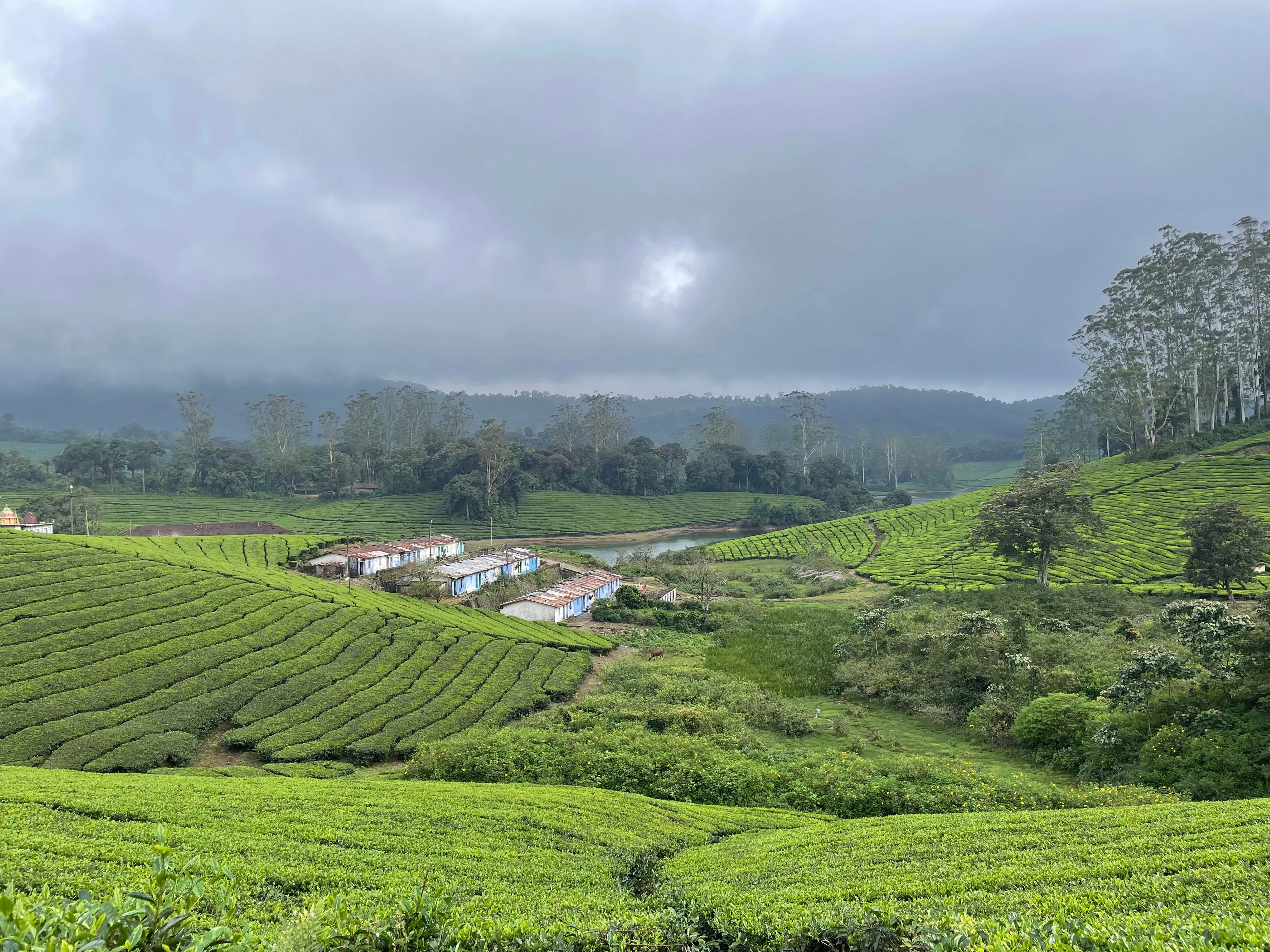 Day 1: Ooty Sightseeing & Toy Train Experience