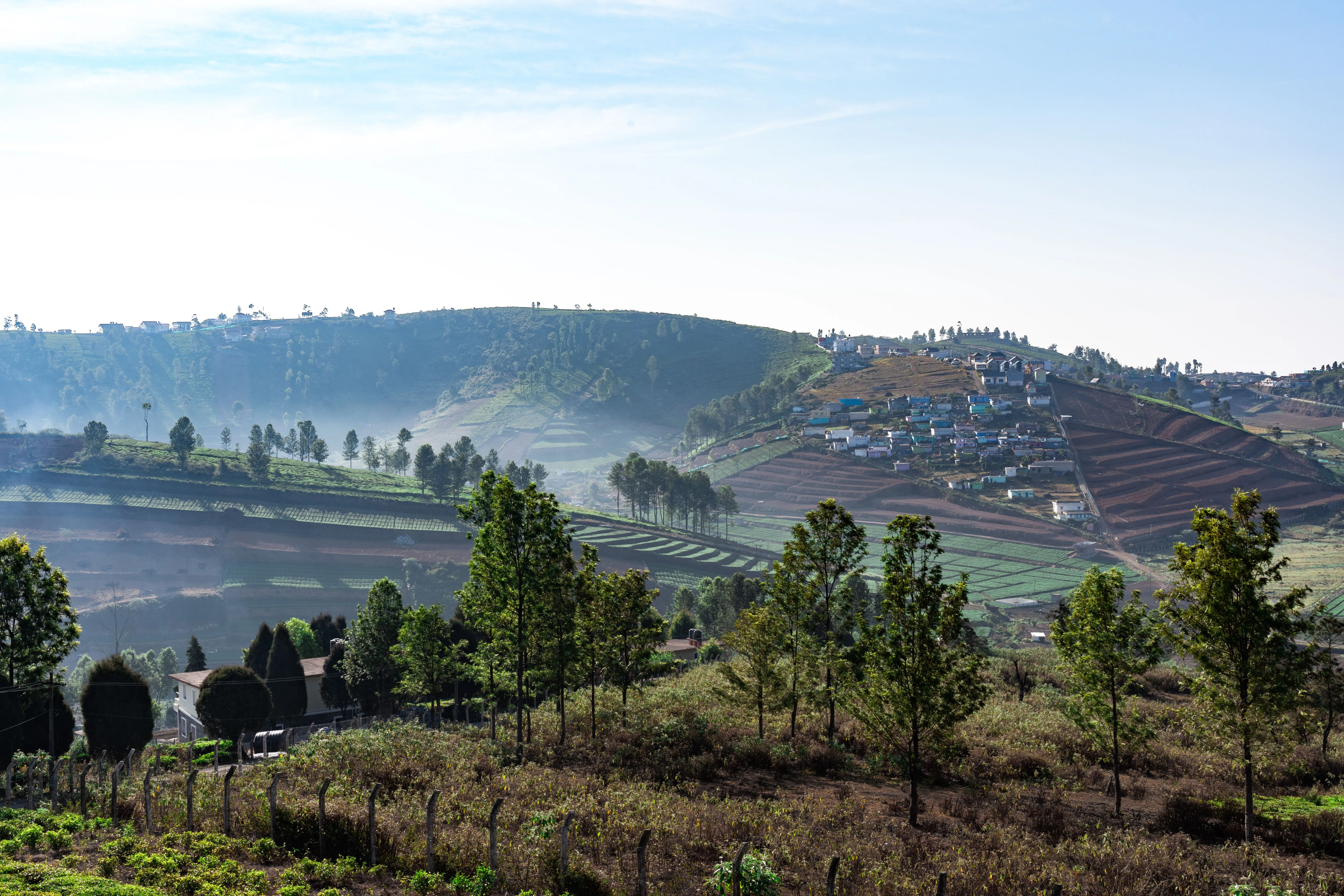 Day 1: Ooty Sightseeing & Toy Train Experience