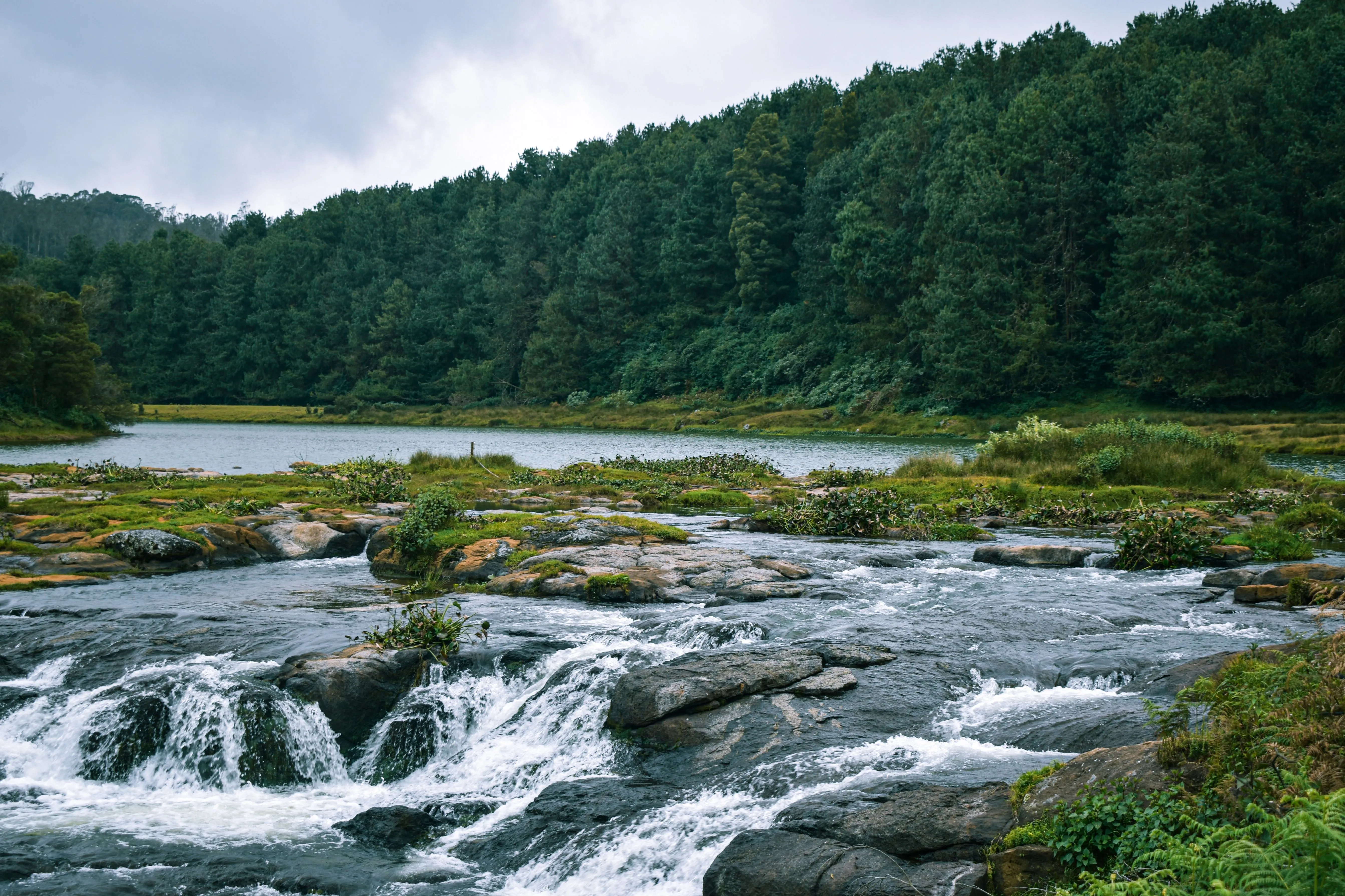 Day 2: Forest E-Bike Adventure & Pykara Valley Exploration