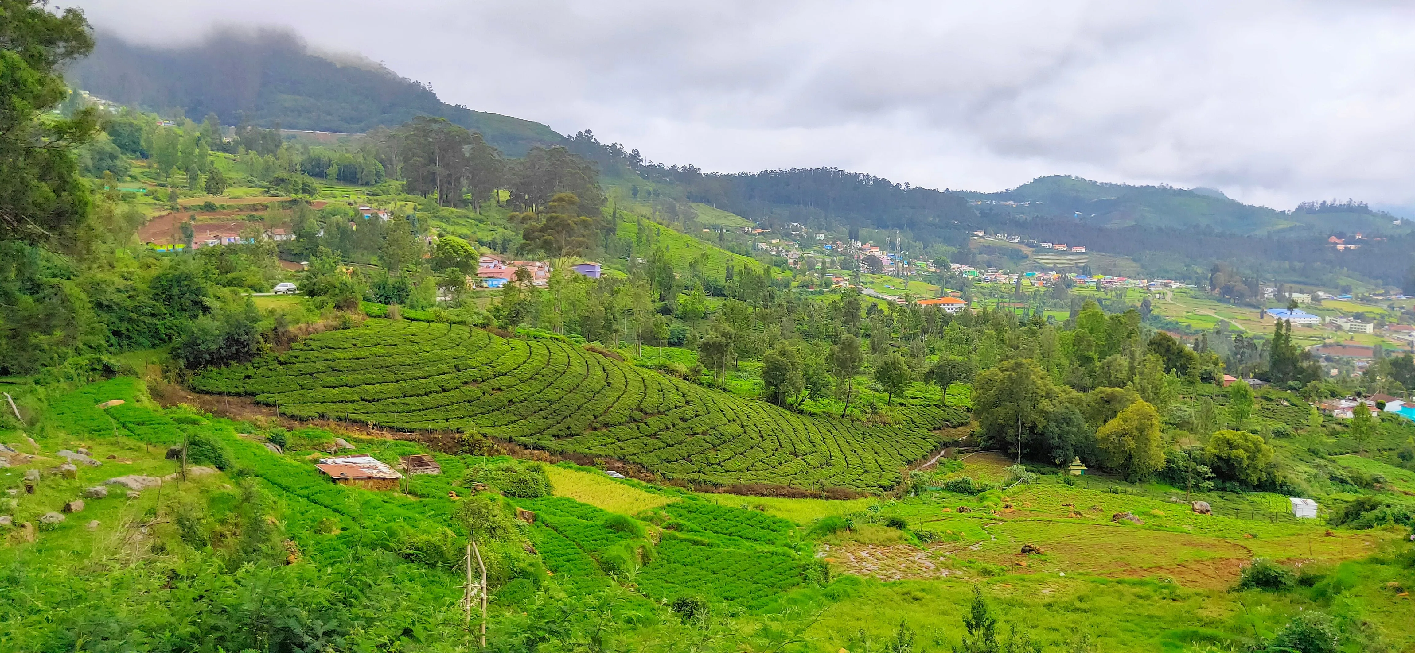 Day 2: Forest E-Bike Adventure & Pykara Valley Exploration