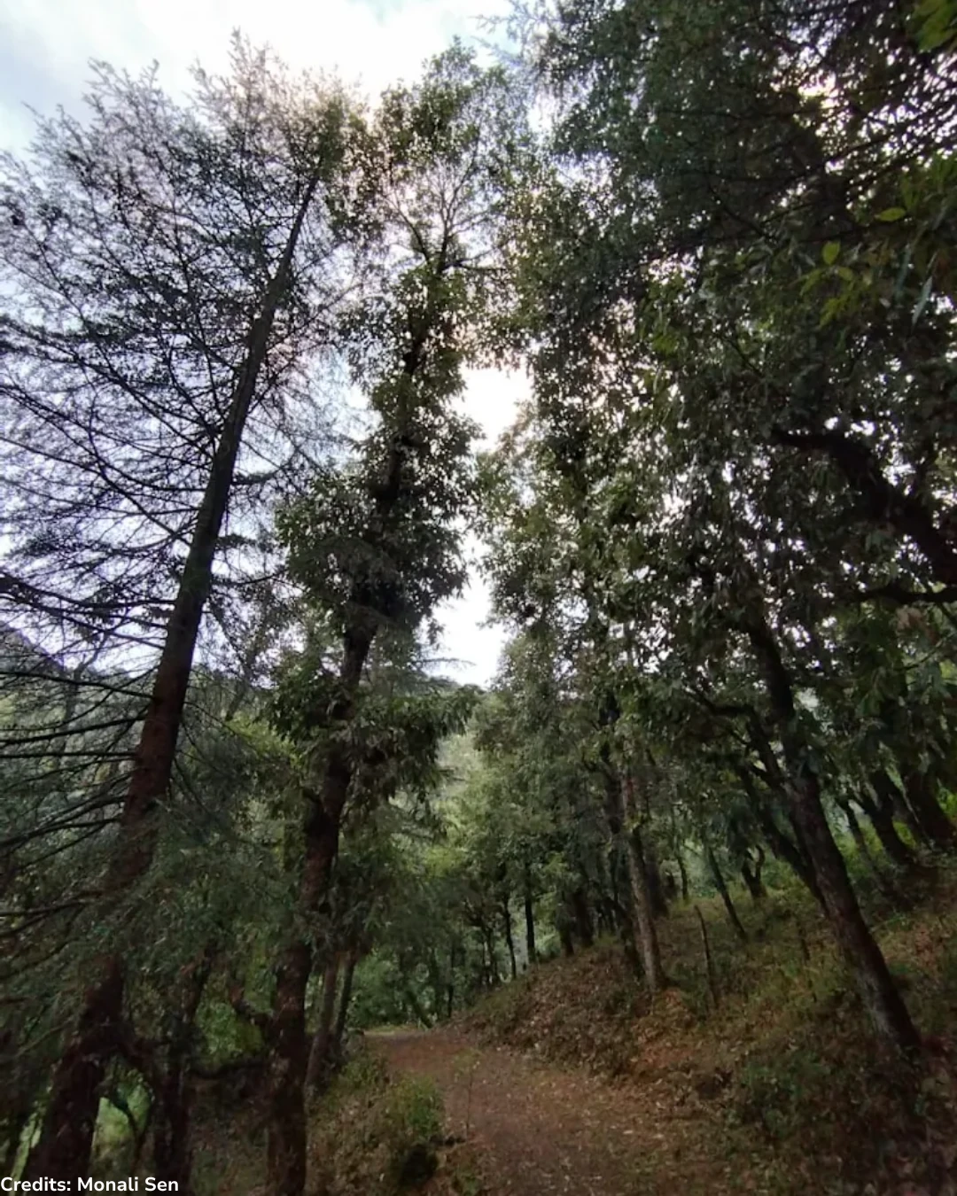 Benog Wildlife Sanctuary